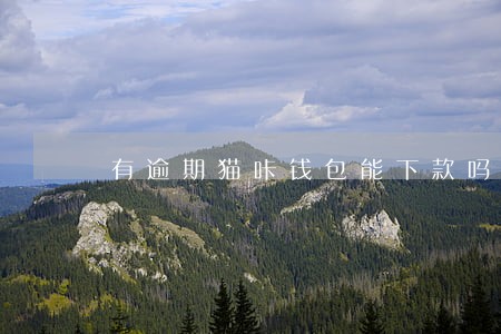 有逾期猫咔钱包能下款吗 有逾期猫咔钱包能下款吗