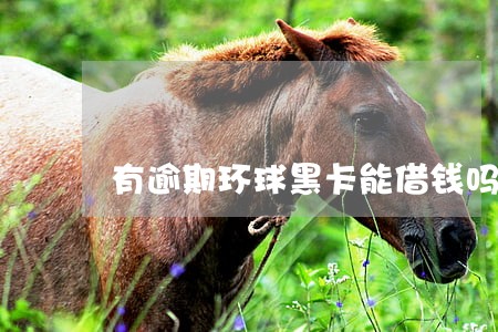 有逾期环球黑卡能借钱吗 有逾期环球黑卡能借钱吗
