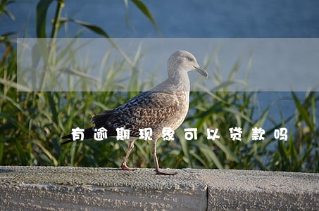有逾期现象可以贷款吗 有逾期现象可以贷款吗