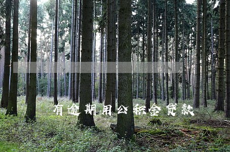 有逾期用公积金贷款