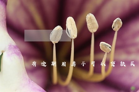 有逾期用房子可以贷款买车吗 有逾期用房子可以贷款买车吗