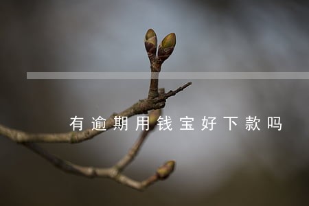 有逾期用钱宝好下款吗 有逾期用钱宝好下款吗