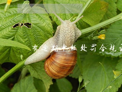 有逾期申报处罚合规证明 有逾期申报处罚合规证明