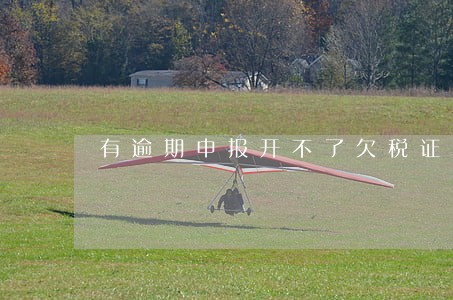 有逾期申报开不了欠税证明 有逾期申报开不了欠税证明
