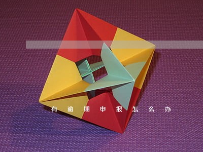 有逾期申报怎么办 有逾期申报怎么办