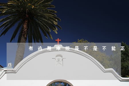 有逾期申报是不是不能正常报税