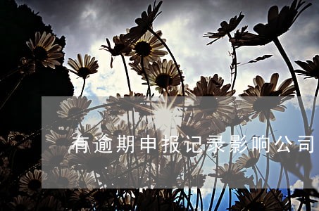 有逾期申报记录影响公司上市吗 有逾期申报记录影响公司上市吗