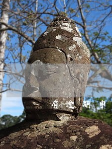 有逾期申报记录需整改 有逾期申报记录需整改