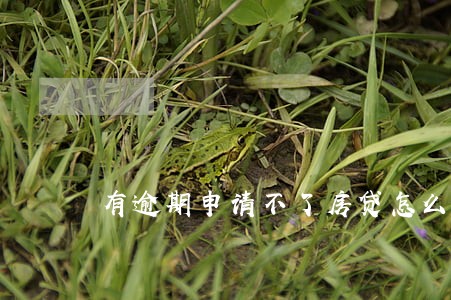 有逾期申请不了房贷怎么办 有逾期申请不了房贷怎么办