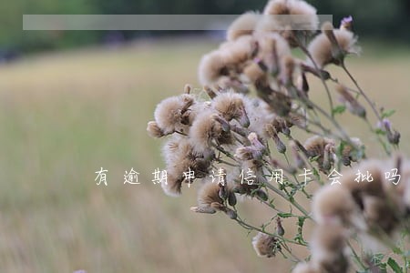 有逾期申请信用卡会批吗