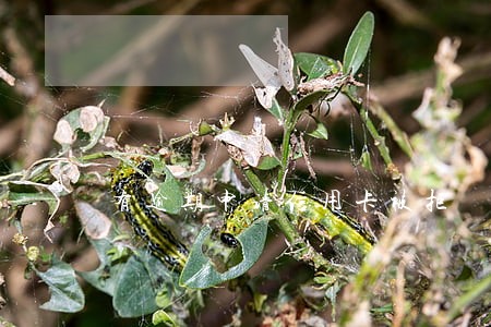 有逾期申请信用卡被拒 有逾期申请信用卡被拒