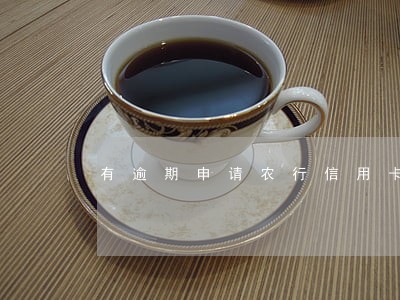 有逾期申请农行信用卡提额吗 有逾期申请农行信用卡提额吗