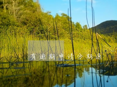 有逾期申请分期通 有逾期申请分期通