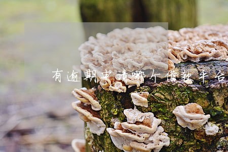 有逾期申请哪个借款平台能过 有逾期申请哪个借款平台能过