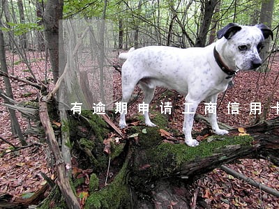 有逾期申请工商信用卡吗 有逾期申请工商信用卡吗