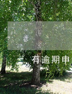 有逾期申请钱站 有逾期申请钱站