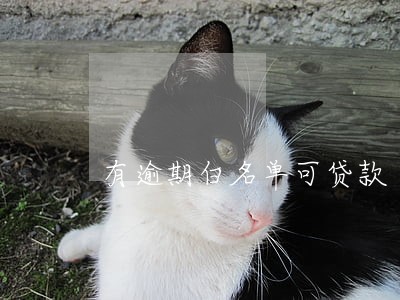 有逾期白名单可贷款 有逾期白名单可贷款