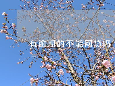 有逾期的不能网贷吗 有逾期的不能网贷吗