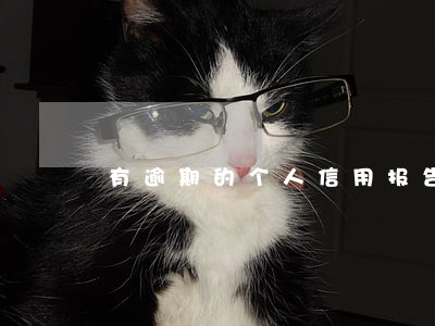 有逾期的个人信用报告怎么看