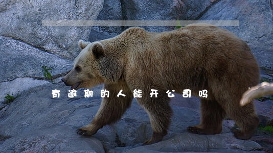 有逾期的人能开公司吗 有逾期的人能开公司吗