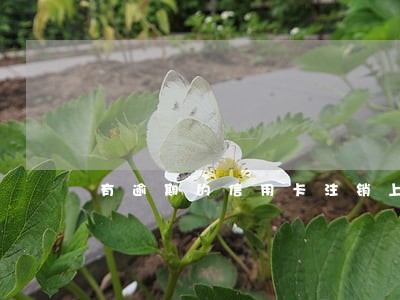 有逾期的信用卡注销上海 有逾期的信用卡注销上海