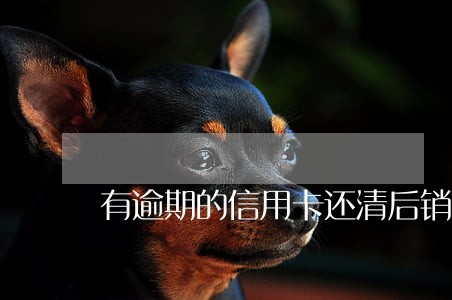有逾期的信用卡还清后销卡 有逾期的信用卡还清后销卡