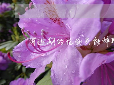 有逾期的信贷员能辞职么 有逾期的信贷员能辞职么