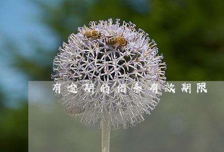 有逾期的借条有效期限 有逾期的借条有效期限