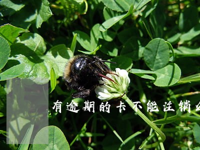 有逾期的卡不能注销么 有逾期的卡不能注销么