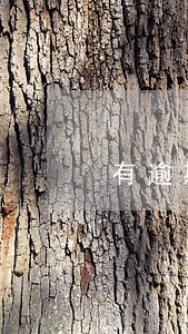 有逾期的可以申请抵押贷款吗 有逾期的可以申请抵押贷款吗