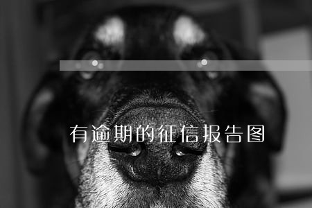 有逾期的征信报告图 有逾期的征信报告图