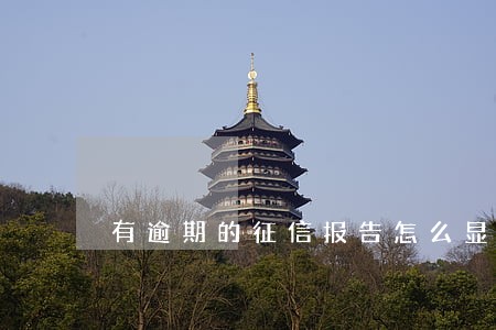 有逾期的征信报告怎么显示 有逾期的征信报告怎么显示