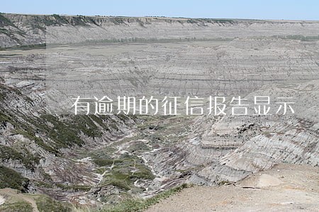 有逾期的征信报告显示 有逾期的征信报告显示