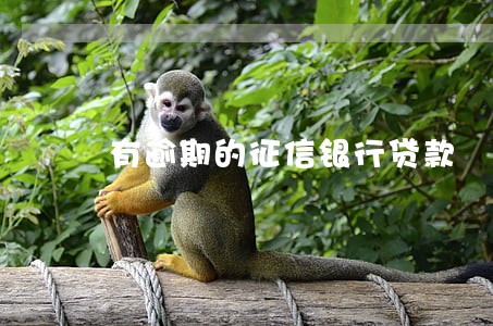 有逾期的征信银行贷款 有逾期的征信银行贷款
