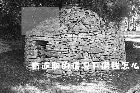 有逾期的情况下借钱怎么借 有逾期的情况下借钱怎么借