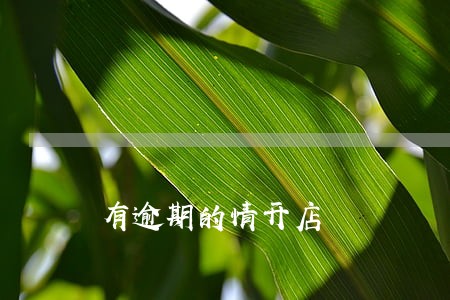 有逾期的情开店