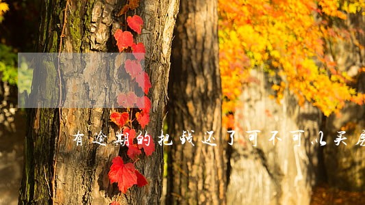 有逾期的把钱还了可不可以买房 有逾期的把钱还了可不可以买房