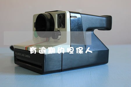 有逾期的担保人 有逾期的担保人