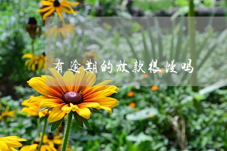 有逾期的放款很慢吗 有逾期的放款很慢吗