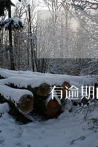 有逾期的显示余额为零 有逾期的显示余额为零