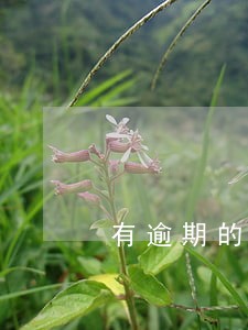 有逾期的算不算失信人