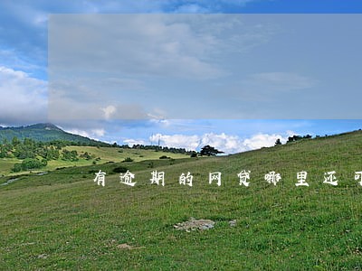 有逾期的网贷哪里还可以借款