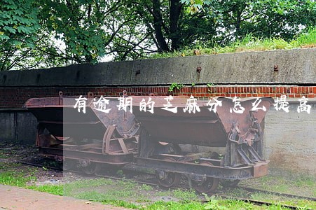 有逾期的芝麻分怎么提高 有逾期的芝麻分怎么提高