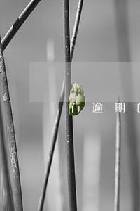 有逾期的话征信多久能恢复 有逾期的话征信多久能恢复
