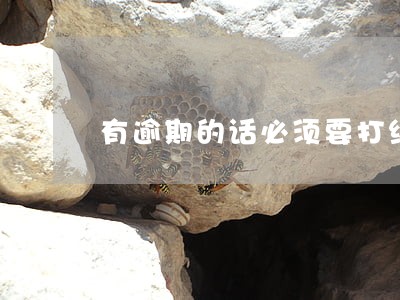 有逾期的话必须要打结清证明吗 有逾期的话必须要打结清证明吗