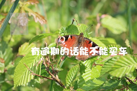 有逾期的话能不能买车 有逾期的话能不能买车
