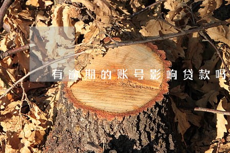 有逾期的账号影响贷款吗 有逾期的账号影响贷款吗