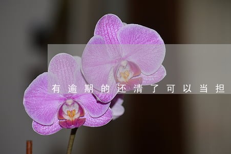 有逾期的还清了可以当担保人嘛 有逾期的还清了可以当担保人嘛
