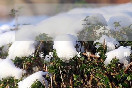 有逾期的还能不能办抵押贷款 有逾期的还能不能办抵押贷款