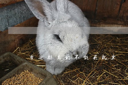 有逾期真的不能买机票